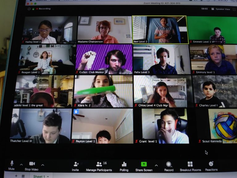 support zoom conference call international